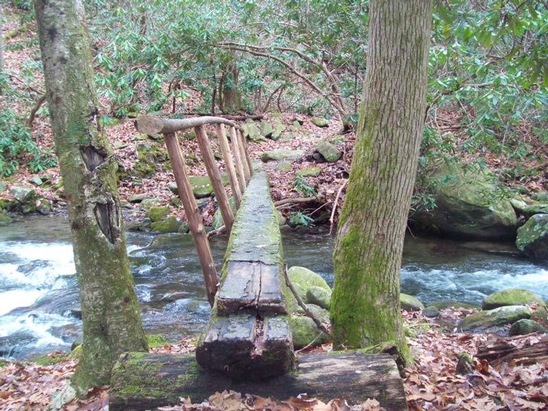 Anthony Creek Trail (Horse Trail) From The Cades Cove Picnic Area