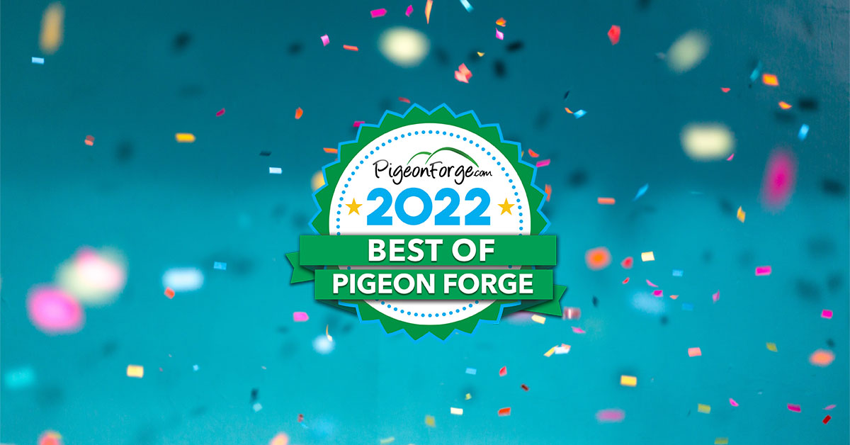 Best Of Pigeon 2022 See The Winners