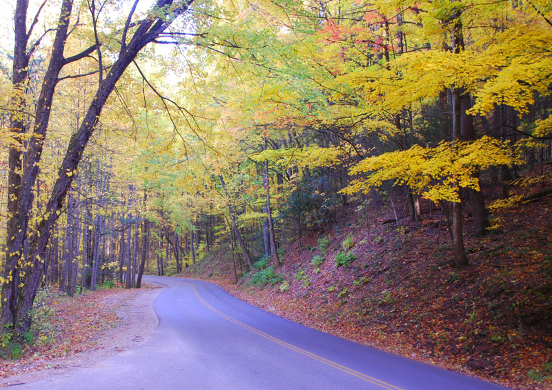 Scenic Drives In The Smoky Mountains Pigeon & Smoky Mountain