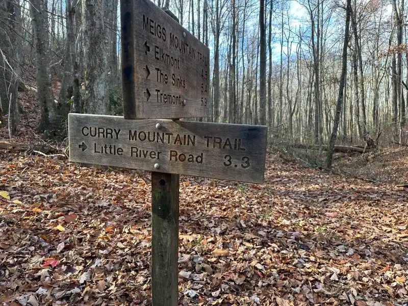 Curry Mountain Trail Smoky Mountain Hikes