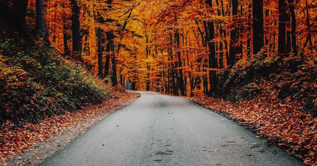 Pigeon Forge October 2023 Events Women Of Joy