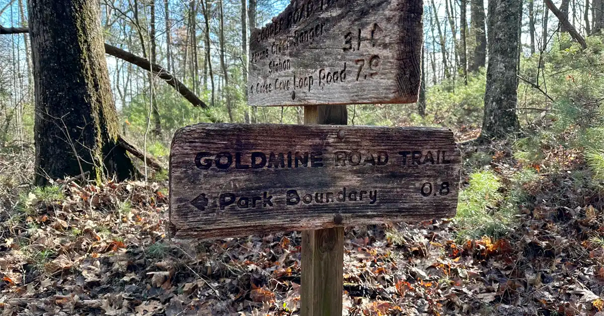 Goldmine Trail Smoky Mountain Hikes