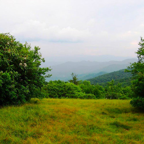 Spence Field Hike 13.2 Mile Loop From Cades Cove Picnic Area