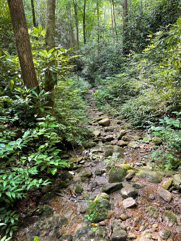 Rabbit Creek Trail Smoky Mountain Hikes