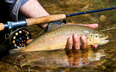 Smoky Mountain Trout Tournament 2023 Upcoming Events – Pigeonforge.com