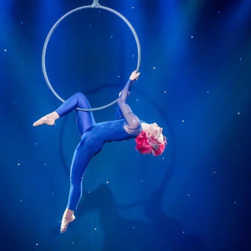 Vacation Highlight The 18 Best Shows to See in Pigeon