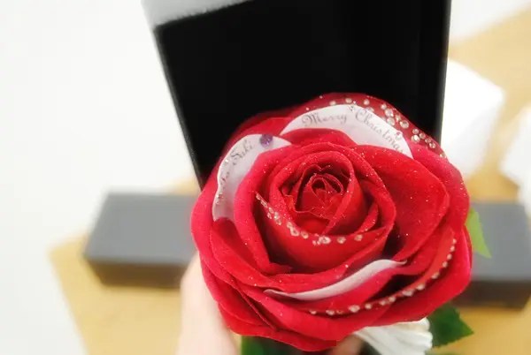 メリアルームメンのサプライズなバラなら想いが伝わる 良い思い出になるプロポーズをするなら NICORIGIFT