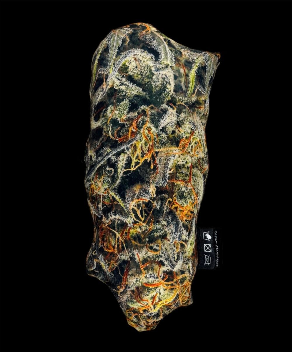 Quienes Somos Pilloweed