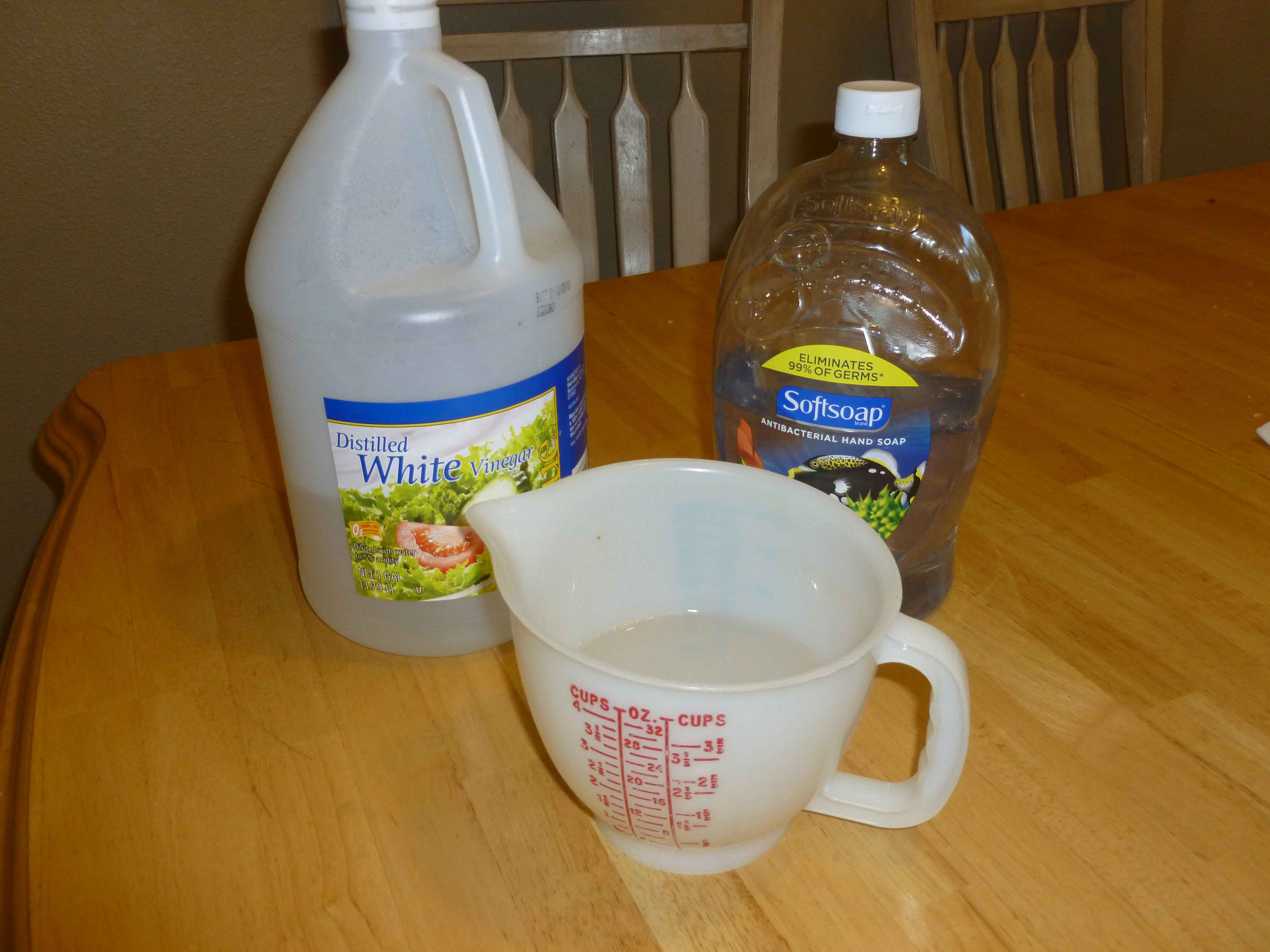 Homemade Window Cleaner Pinching Your Pennies