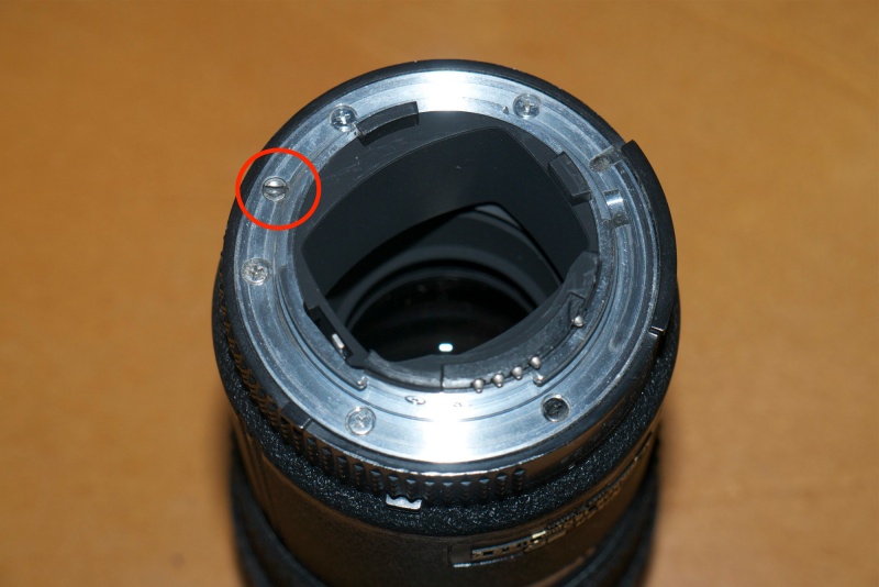 AF not working with FTZ adapter and Sigma lenses r/Nikon