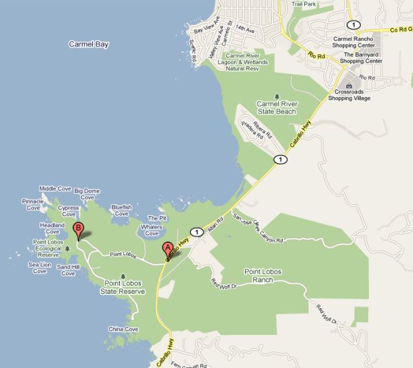 Point Lobos Photographs, Photographers and Photography