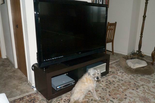 Vizio E552VLE | Photographs, Photographers and Photography