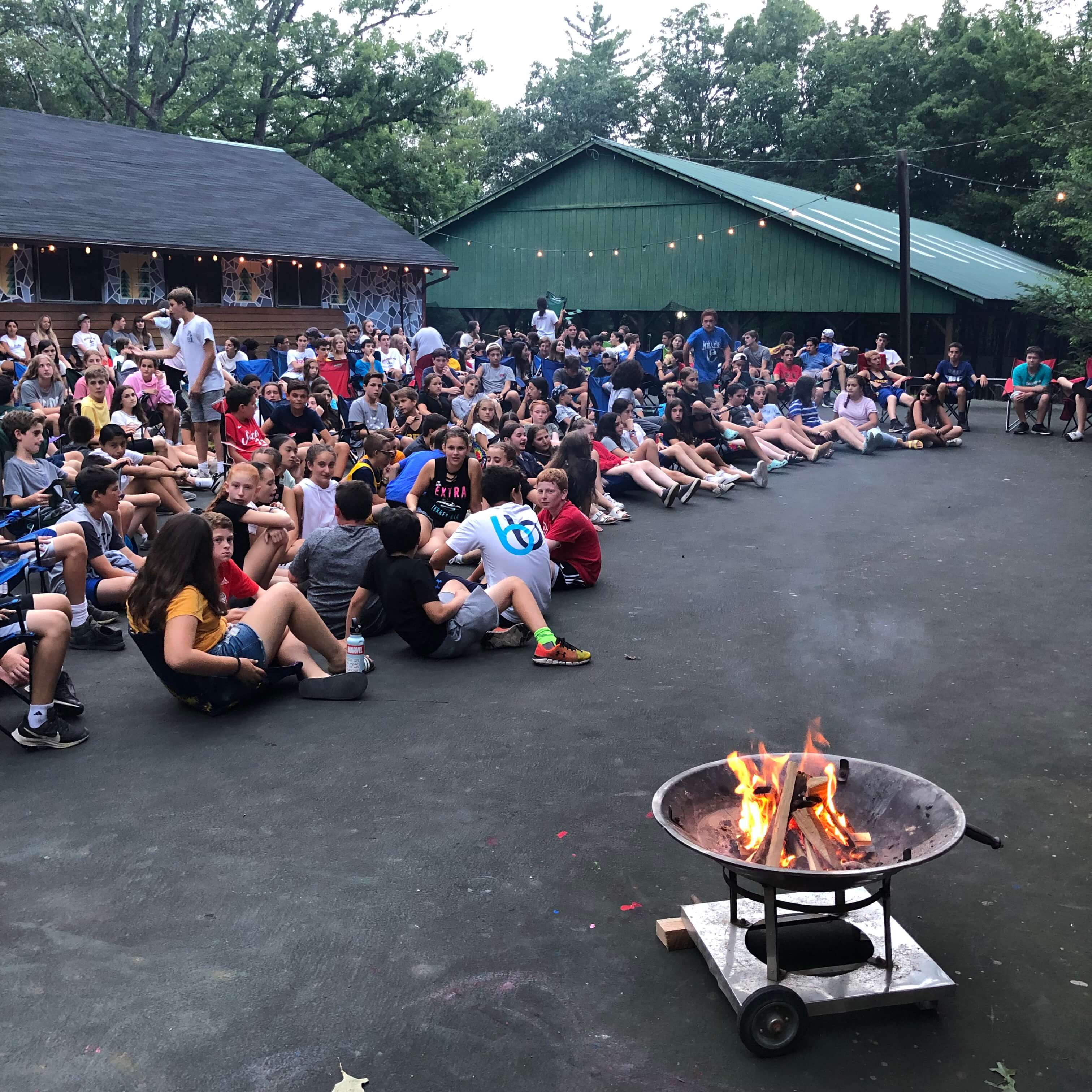 News Pine Forest Camp