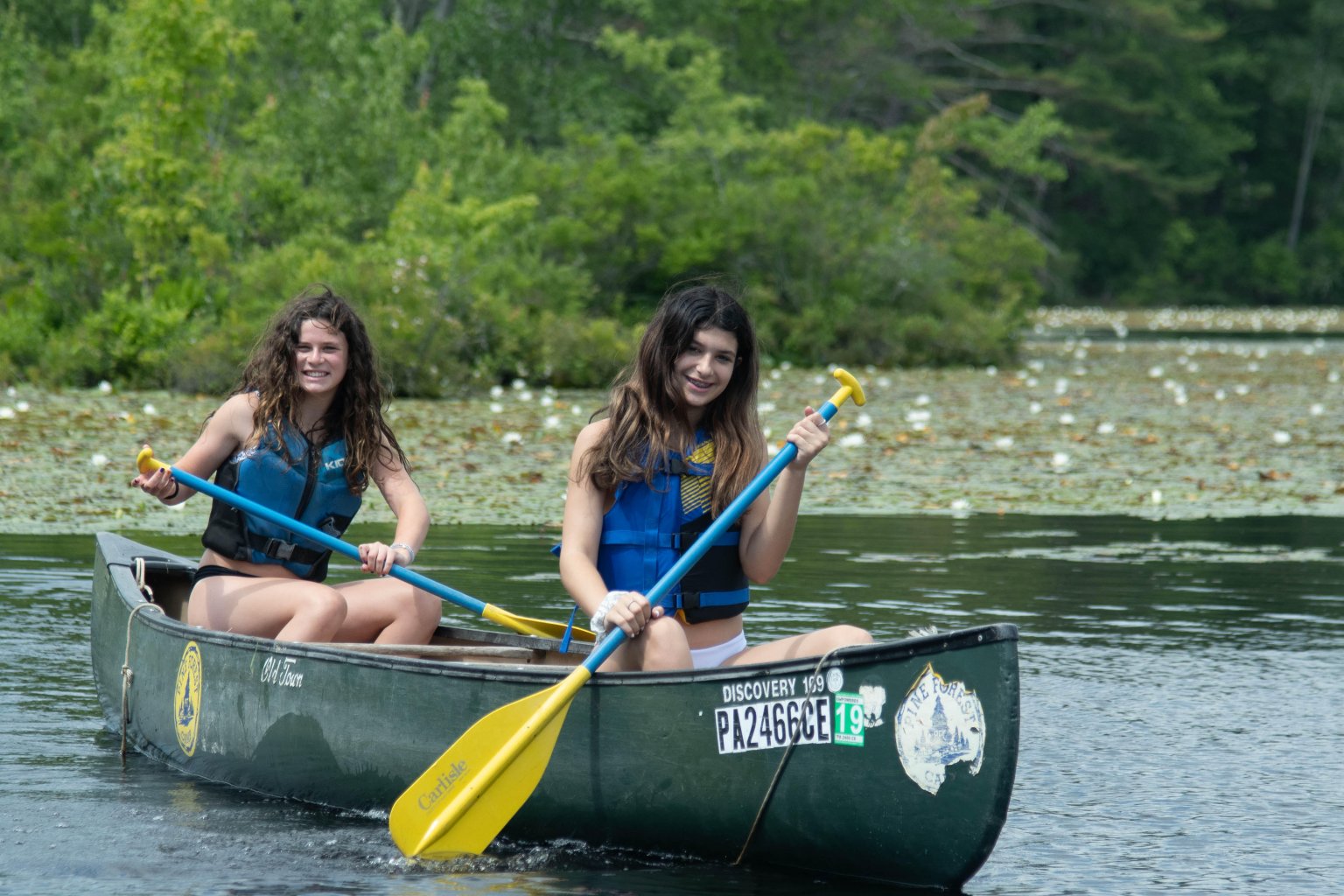 News Pine Forest Camp