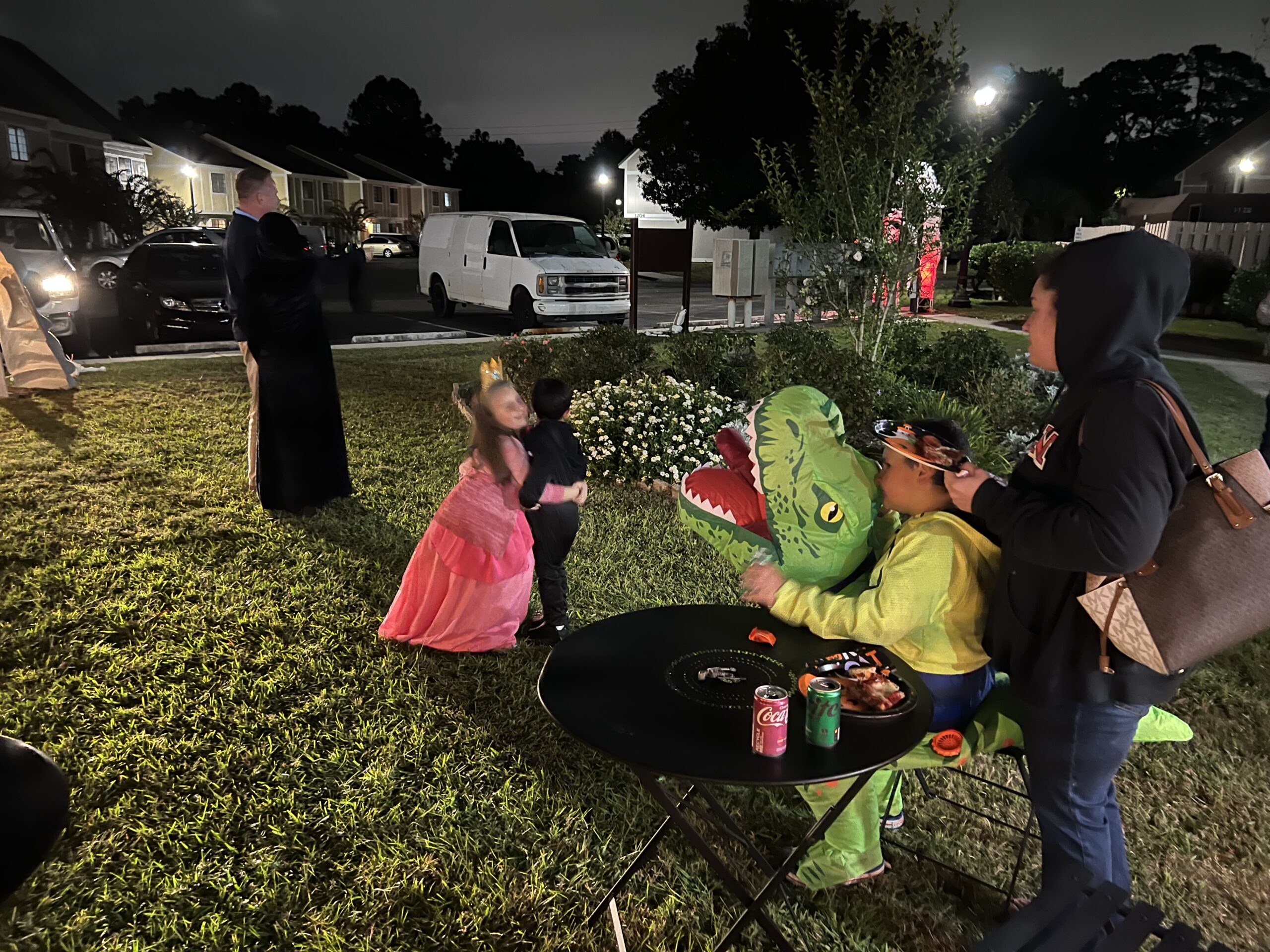 Pinegrove Myrtle Beach Hwy 15 Townhomes