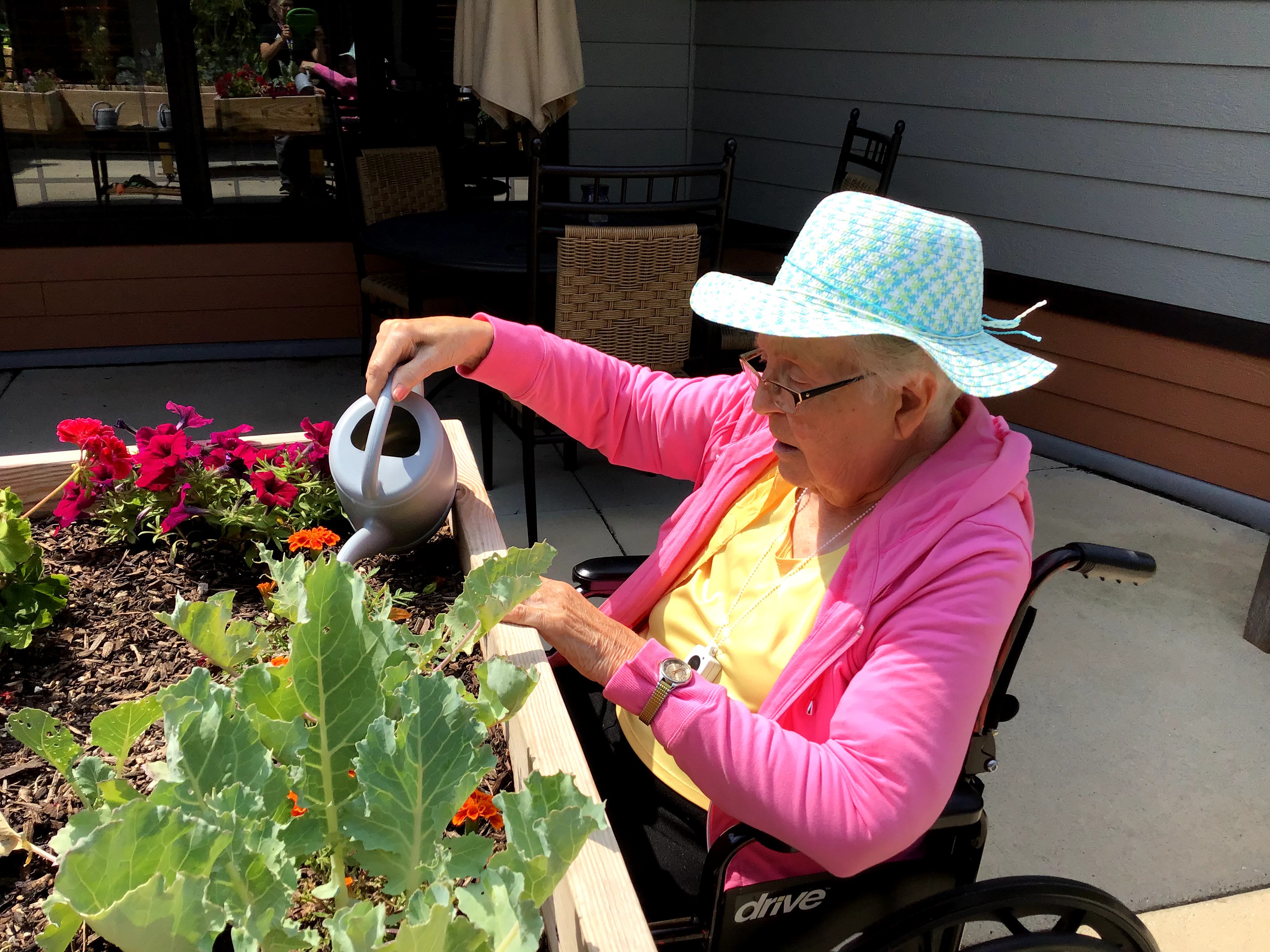 Pine Haven Careers Healthcare Careers Nursing and Beyond