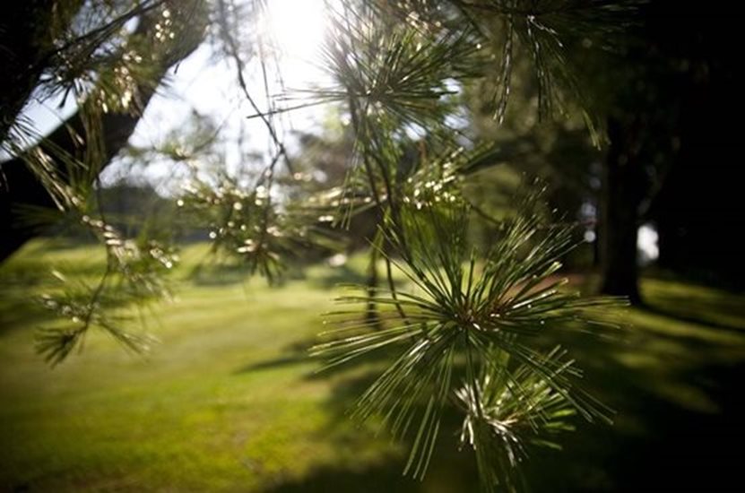 Home Pinehaven Country Club