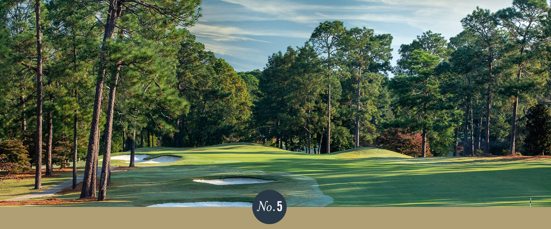 Pinehurst No. 5 What You Need to Know Pinehurst Resort