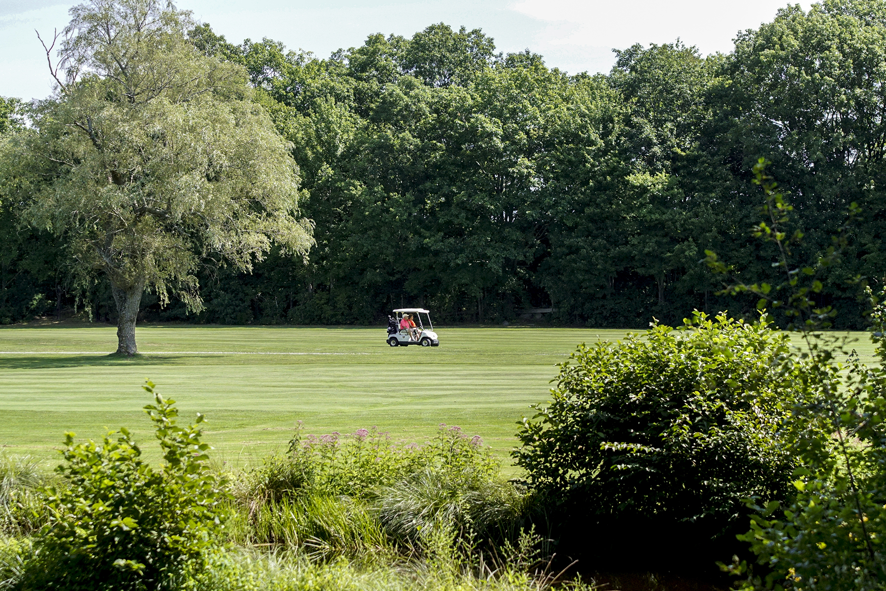 Pine Oaks, Easton, Massachusetts Golf course information and reviews.