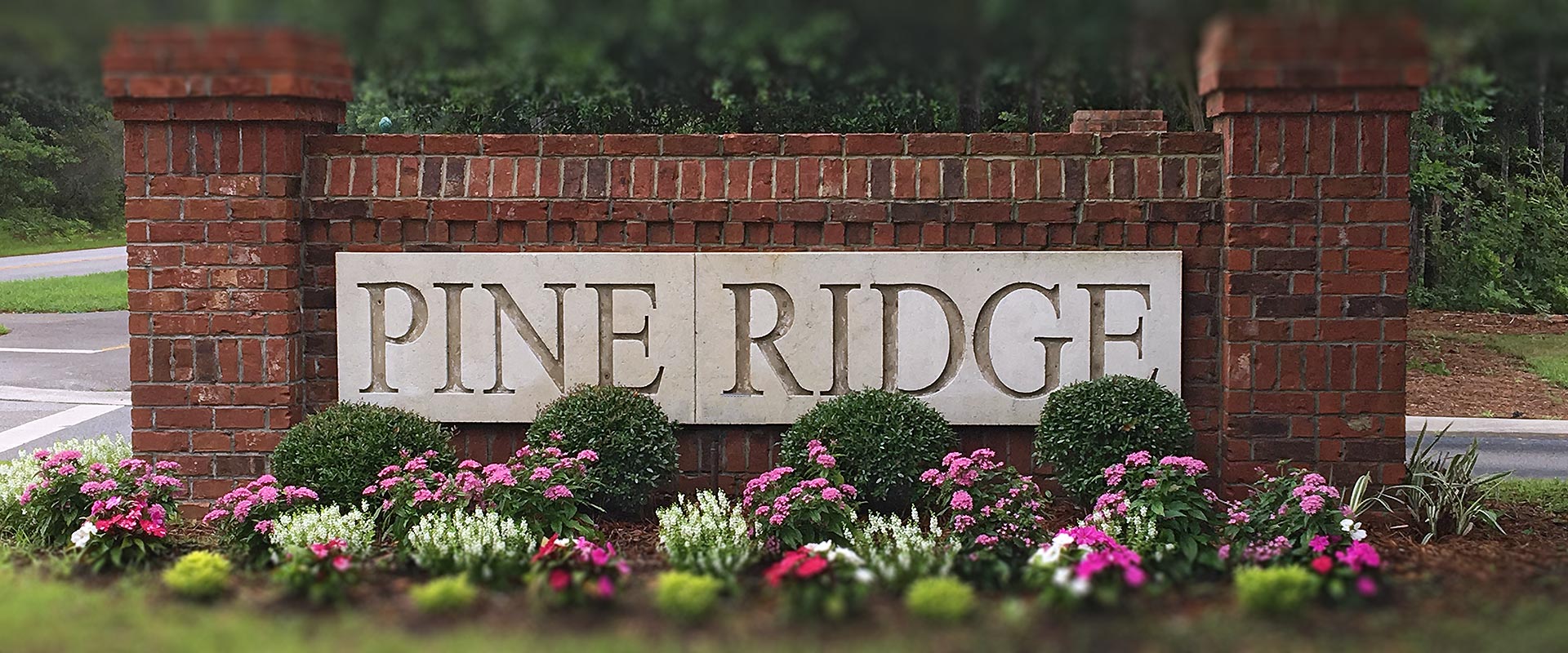 Special Meeting October 8, 2018 Pine Ridge POA