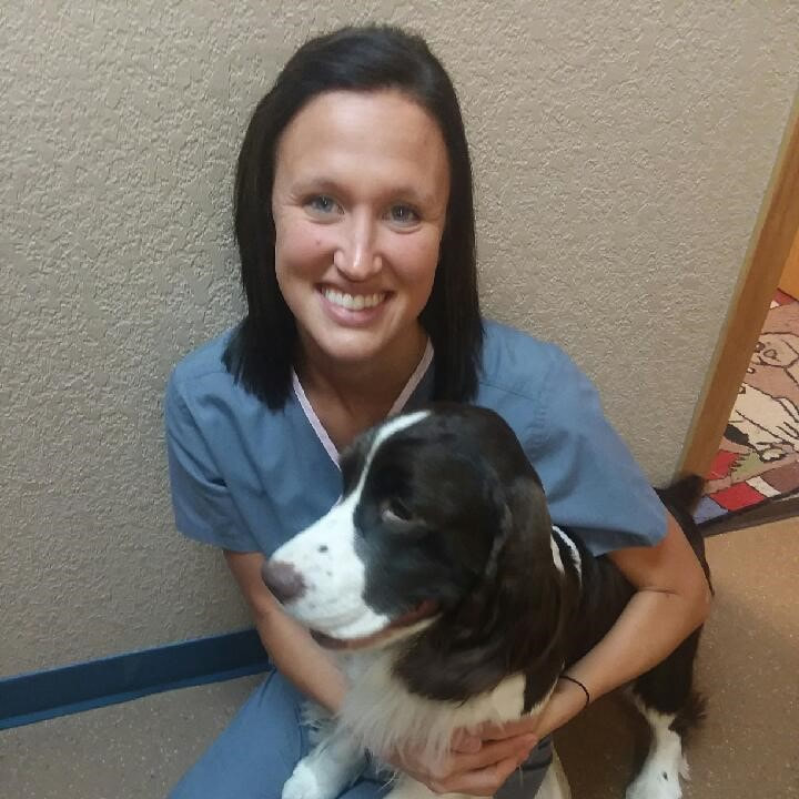 Our Team PINE VALLEY VETERINARY CLINIC