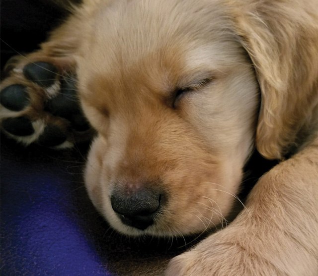 Pineview Apartments for rent in Jackson, NJ 250 rewards program