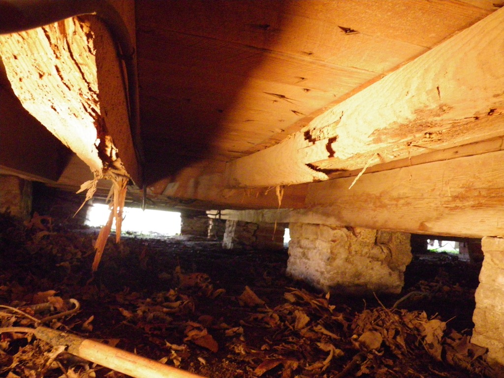 Fix Sagging Floor Joist Carpet Vidalondon