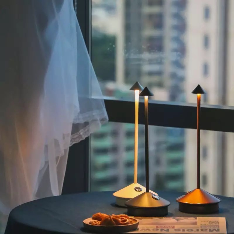 Cordless LED Battery Operated Lights Pro Lamps | Ping Lighting