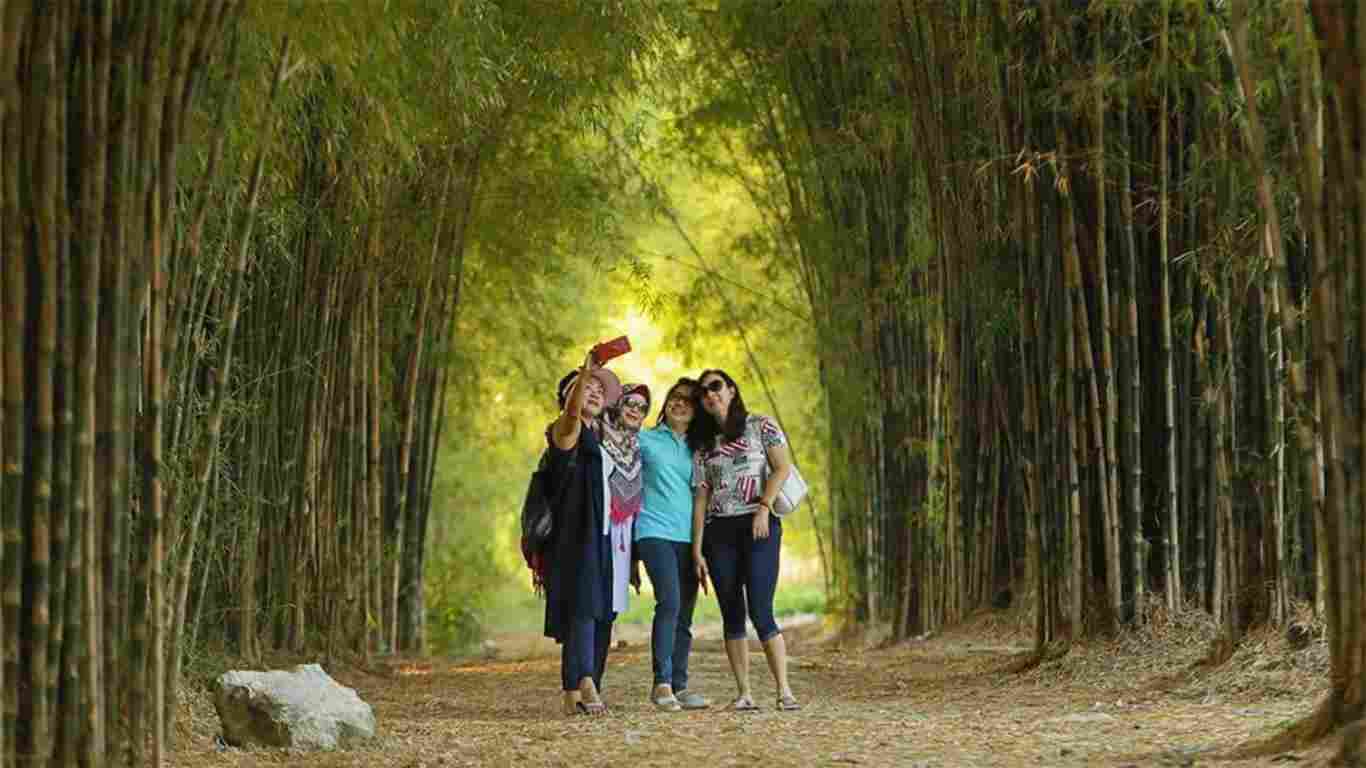 Hutan Bambu Keputih Surabaya | Lokasi Dan Tiket Masuk - Pinhome 768_x_1366_jpg