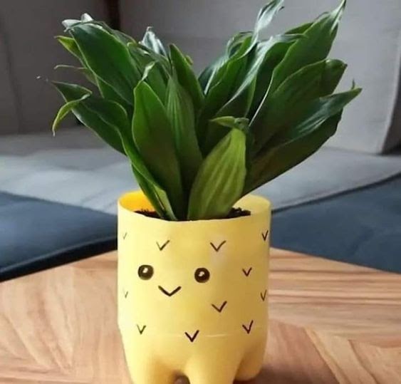 Mudah! Ini Dia Cara Buat Pot Bunga dari Botol Bekas