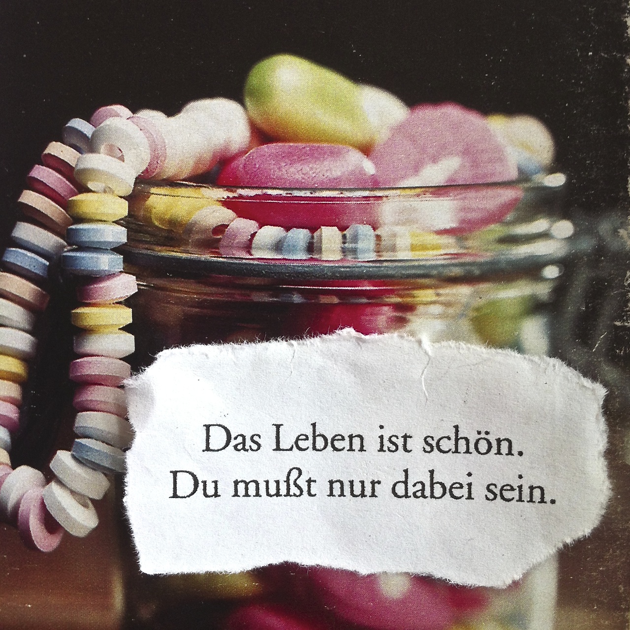 Das Leben Ist Schon Du Musst Nur Dabei Sein Pinkepank