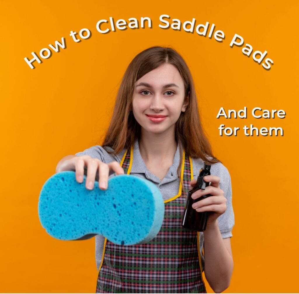 How to clean saddle pads and care for them Pink Equine