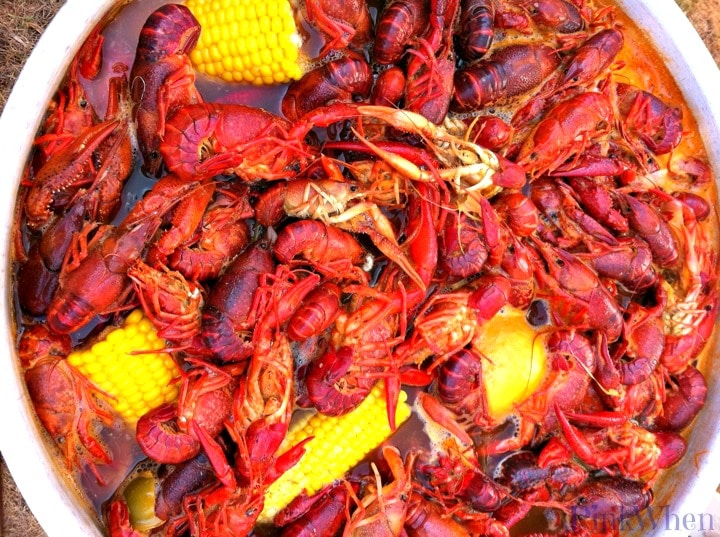 Crawfish Boil Recipe PinkWhen