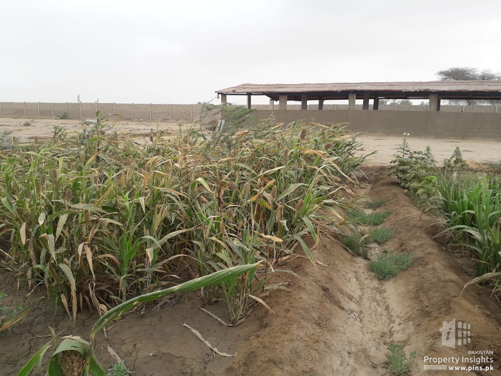 Cattle Goat Dairy Fish Poultry Bara Farm House and Warehouse Business