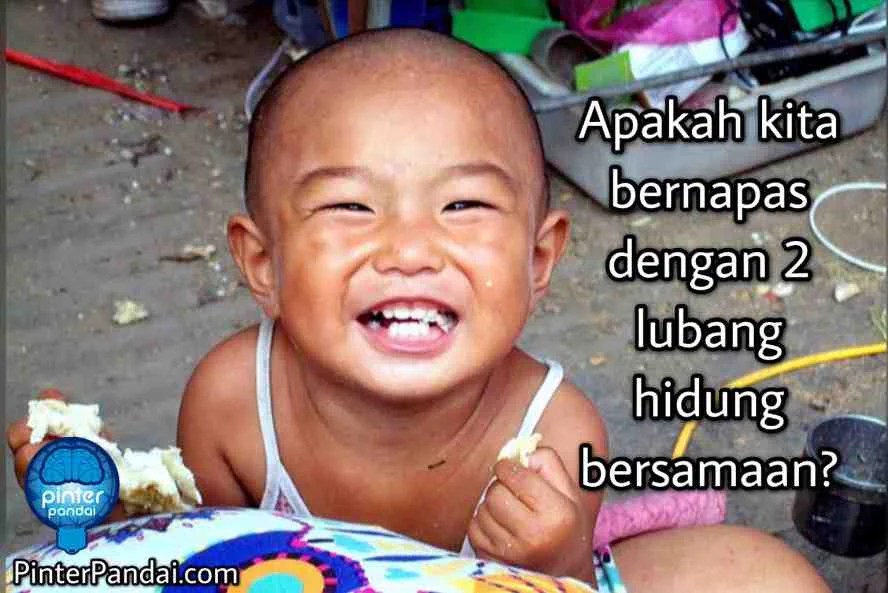 Apakah Kita Bernapas Dengan 2 Lubang Hidung Secara Bersamaan?