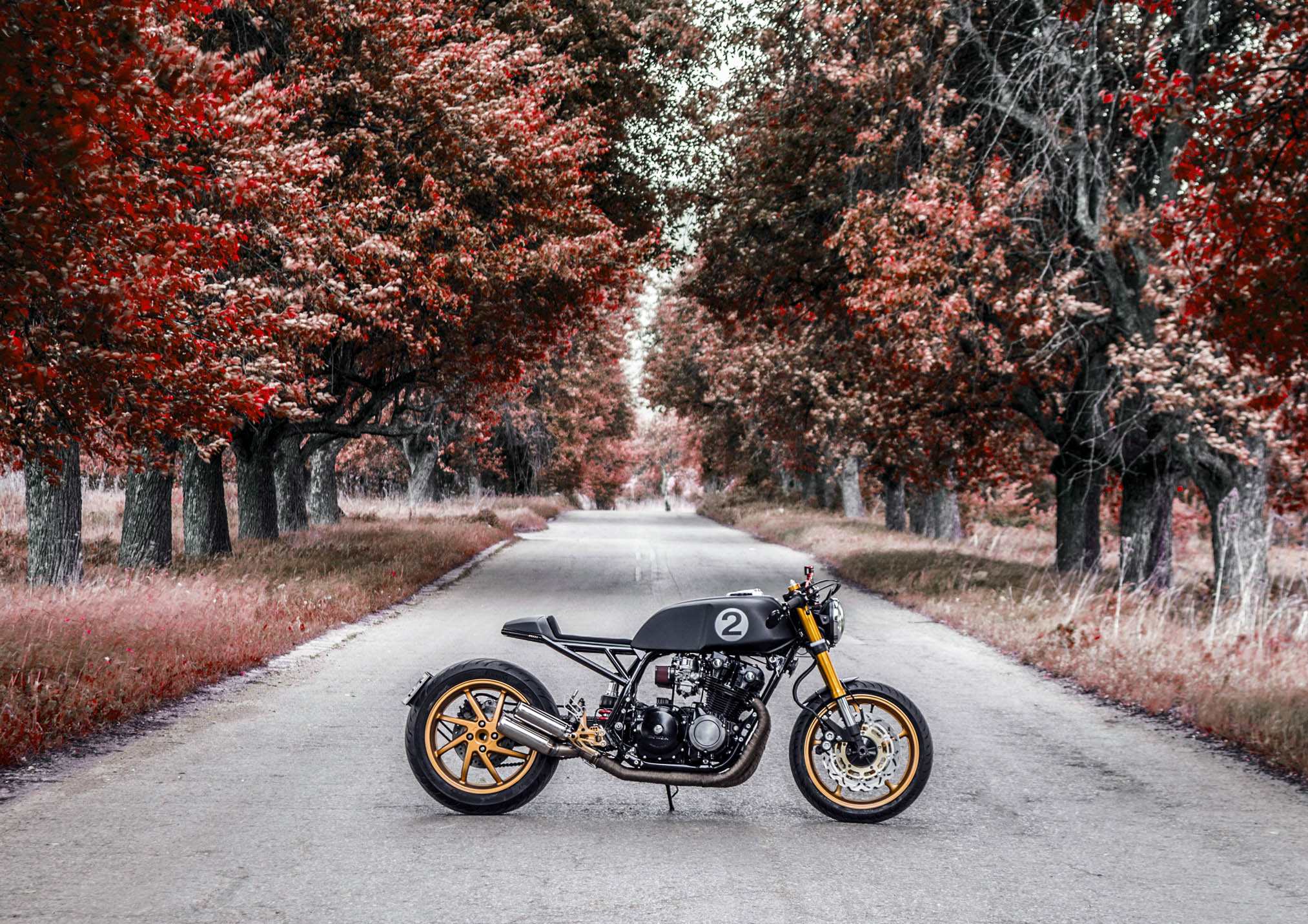 1981 Honda CB 750 Nighthawk GT II Pipeburn