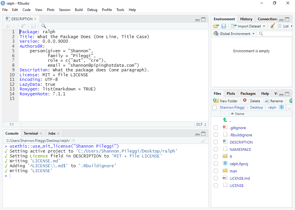 PIPING HOT DATA: Your first R package in 1 hour