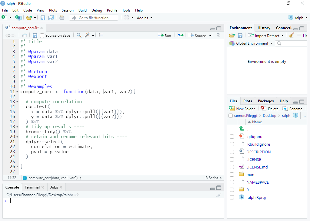 PIPING HOT DATA Your first R package in 1 hour