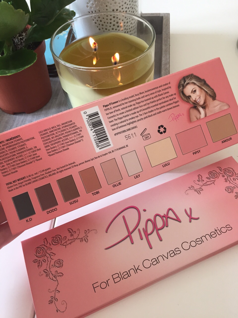 Introducing The Pippa Palette Pippa O'Connor Official Website