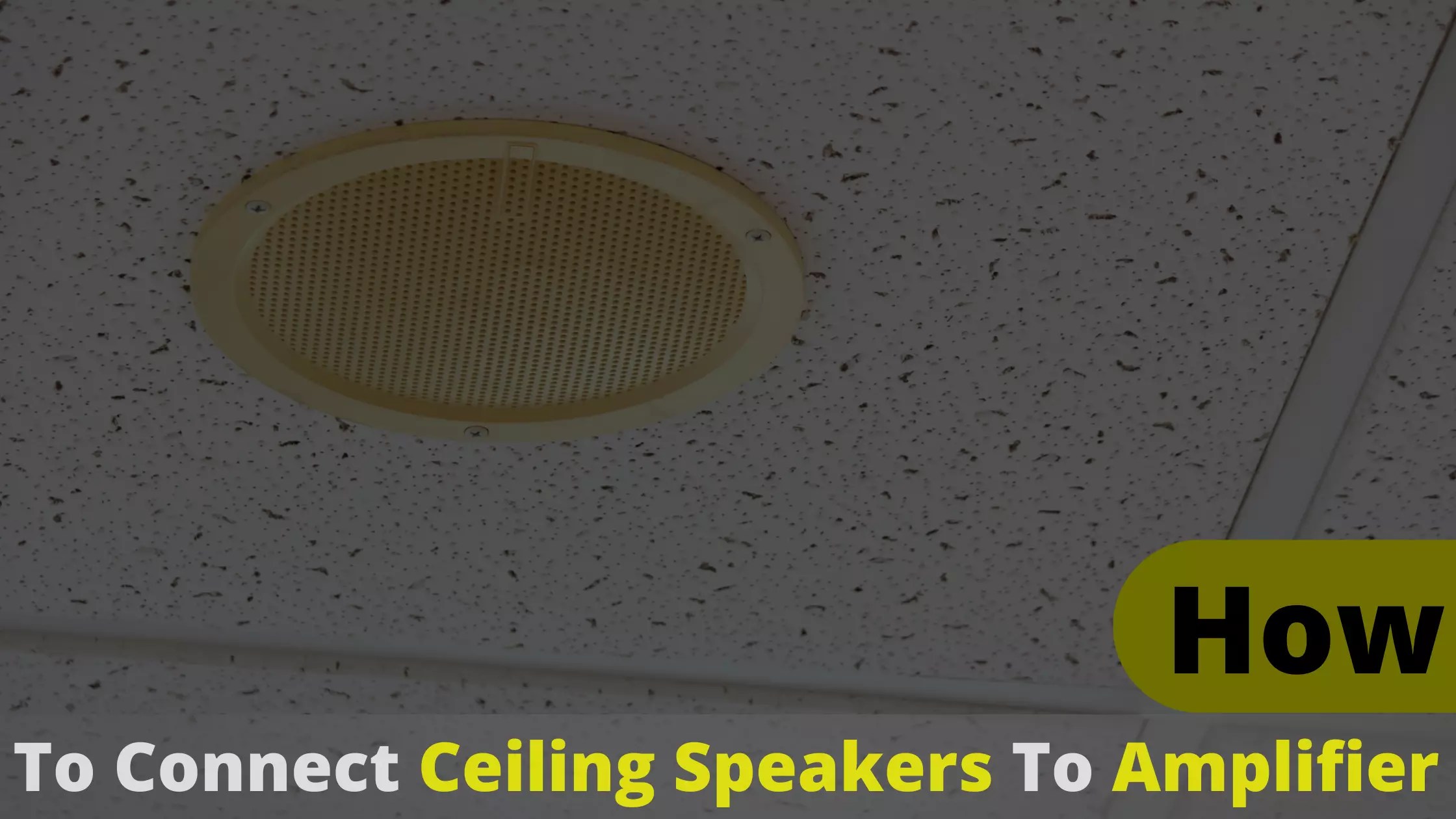 How to Connect Ceiling Speakers to Amplifier? Latest Guide 2022