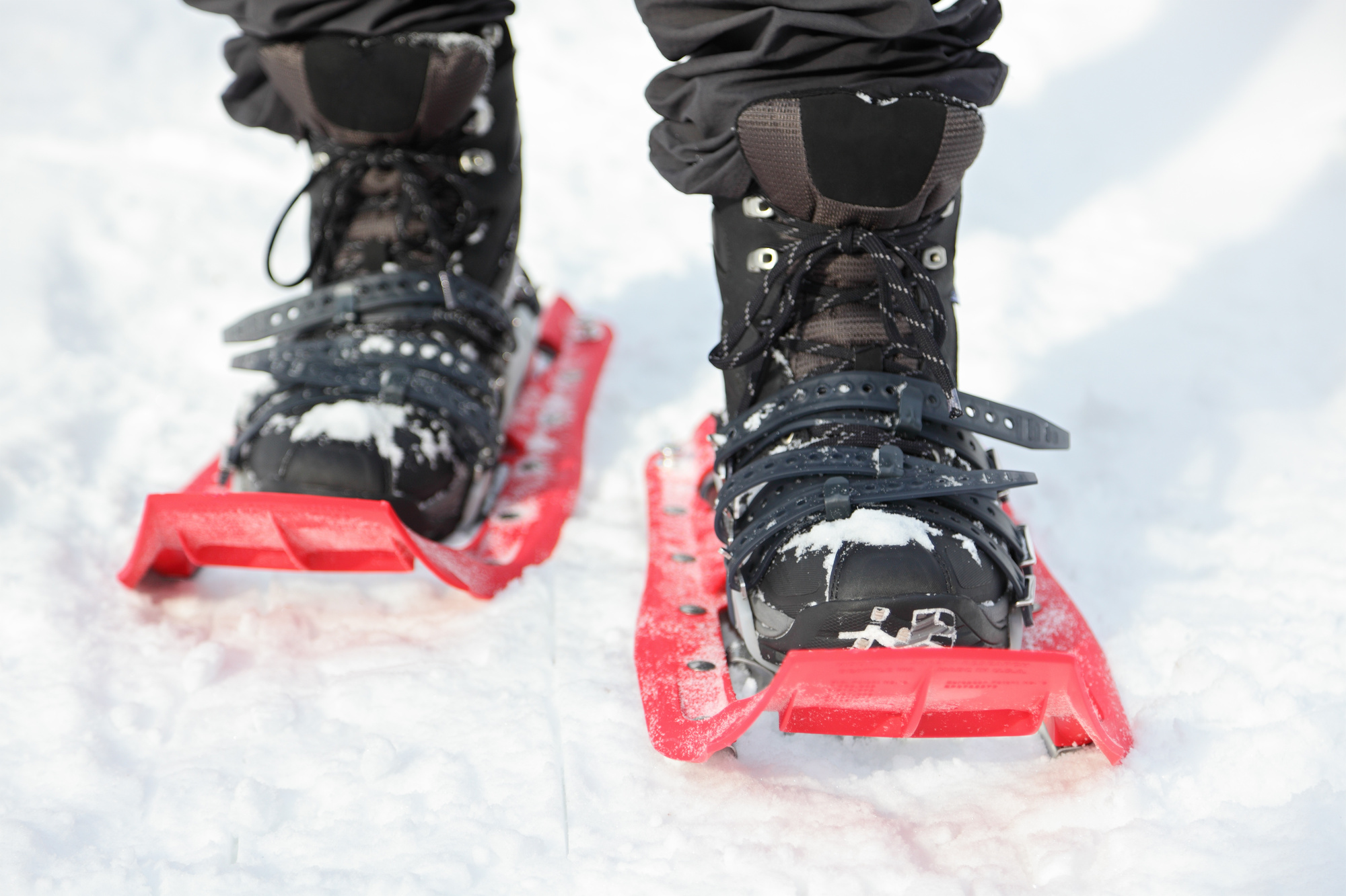 The 5 Best Snowshoes Reviews and Buyer's Guide Pirates of Powder