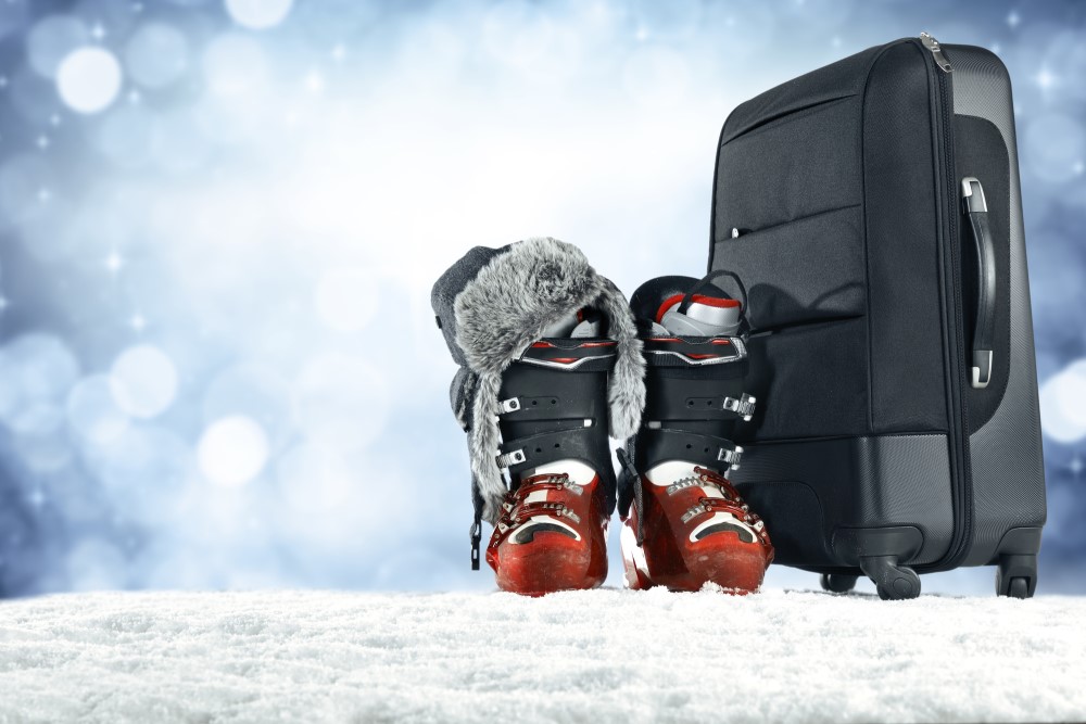10 Best Ski Boot Bags [20202021] Buyer's Guide Pirates of Powder