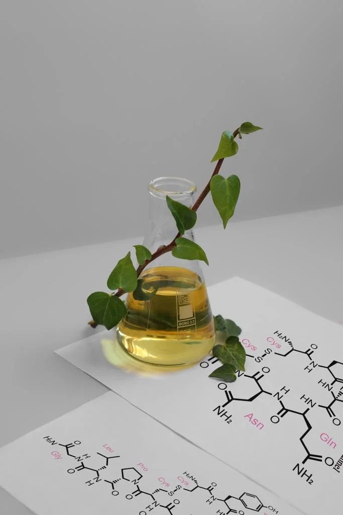 Nontoxic Plasticizers for PVC Sustainable and Safe Alternatives