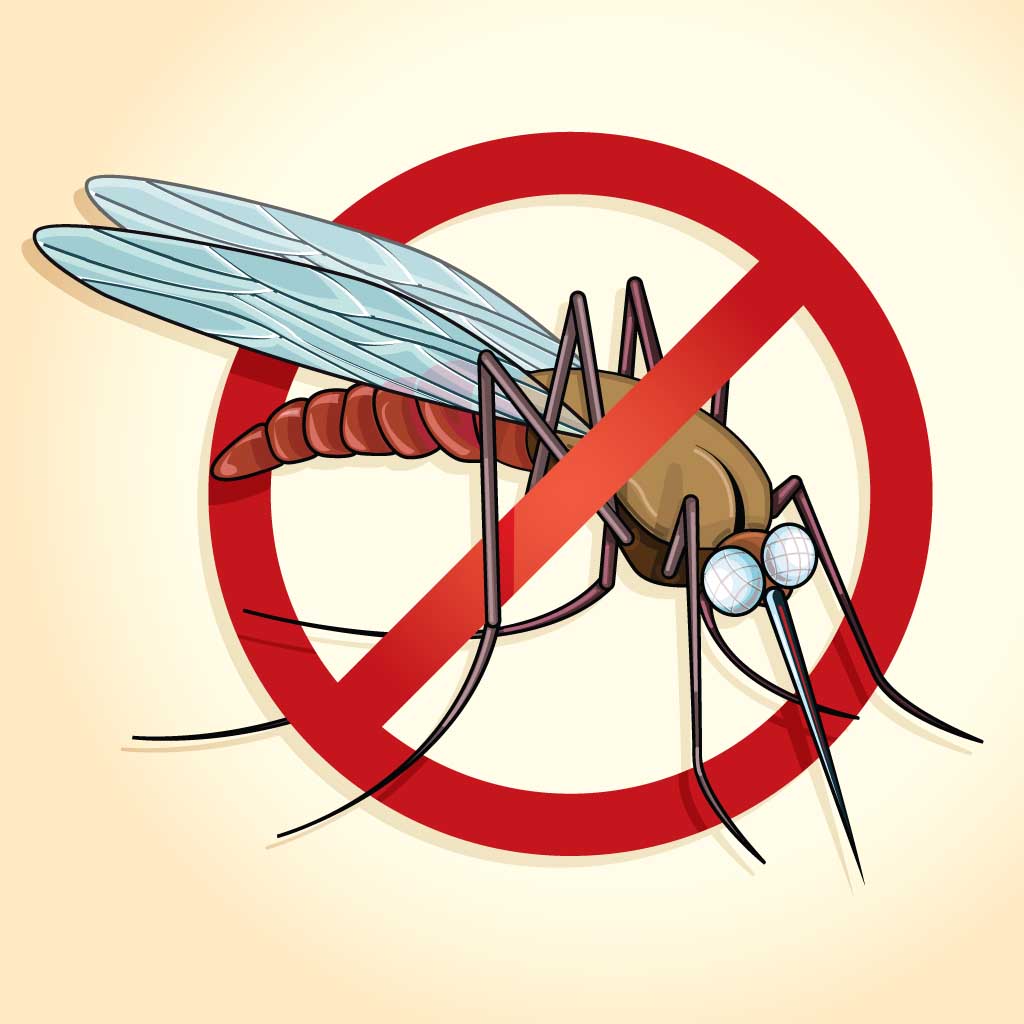 Peppermint to Chase Mosquitoes Away Pitara Kids' Network