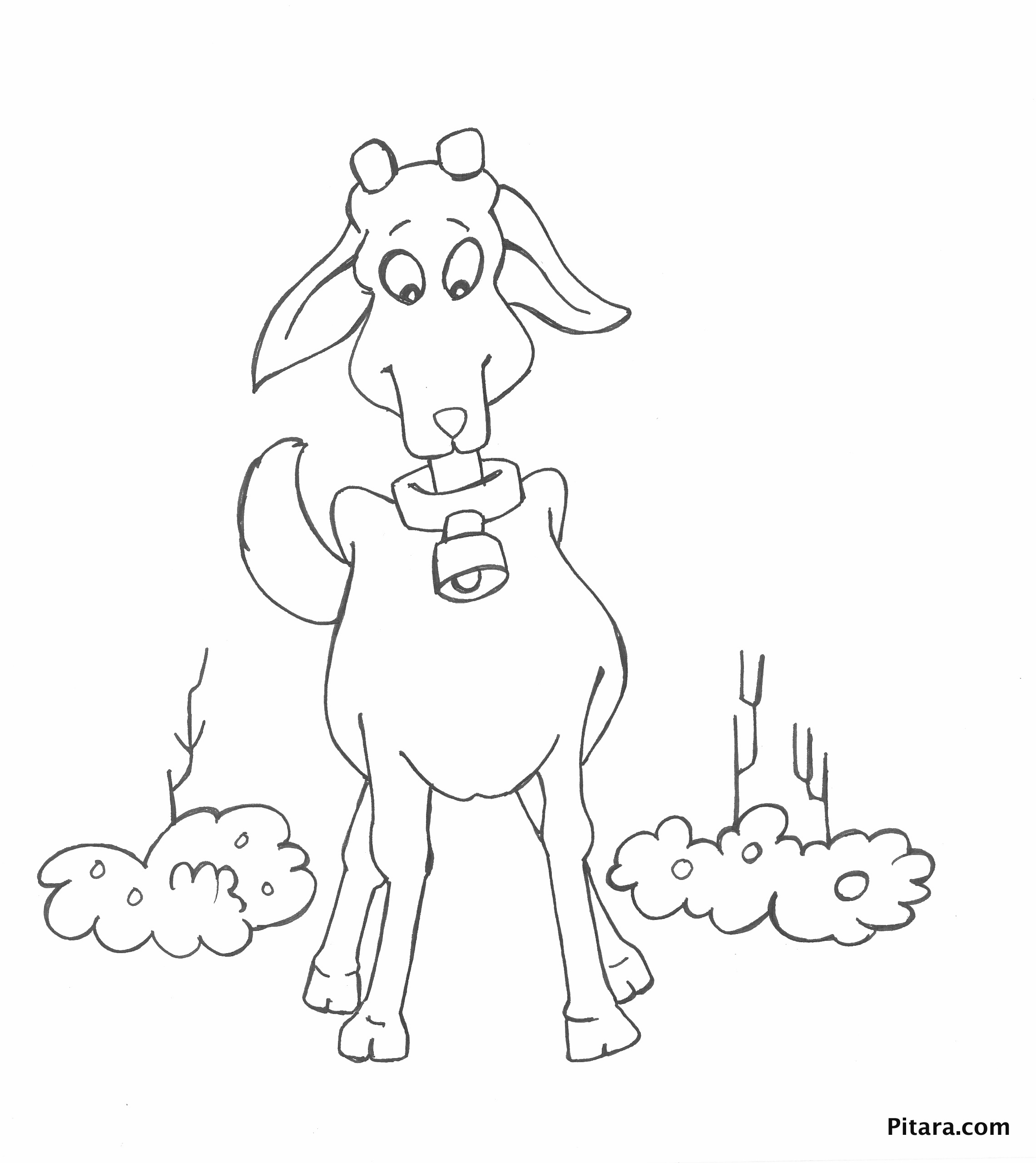 Domestic Animals Coloring Pages Pitara Kids Network Domestic Animals Coloring Pages Pitara Kids Network