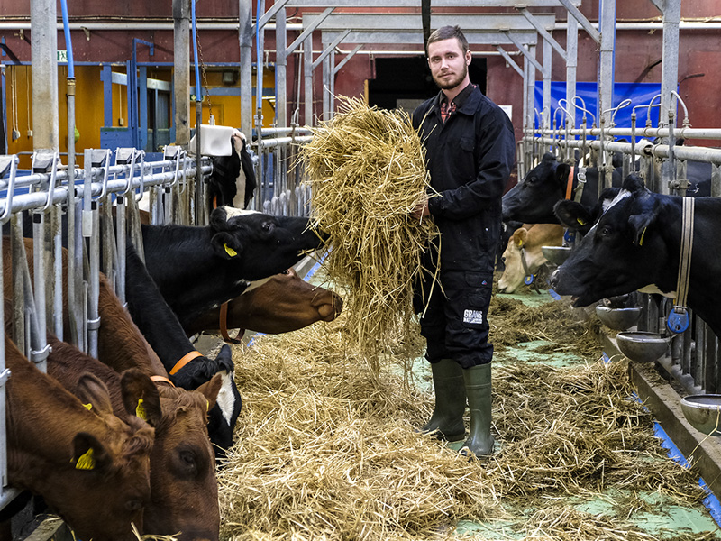 Grans Naturbruksgymnasium Gymnasieskola och gymnasiesärskola Grans