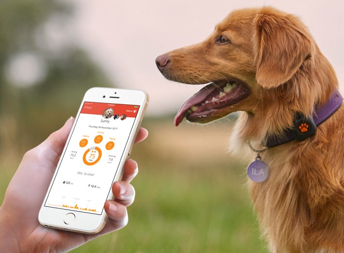 Top 5 apps for your dog PitPat