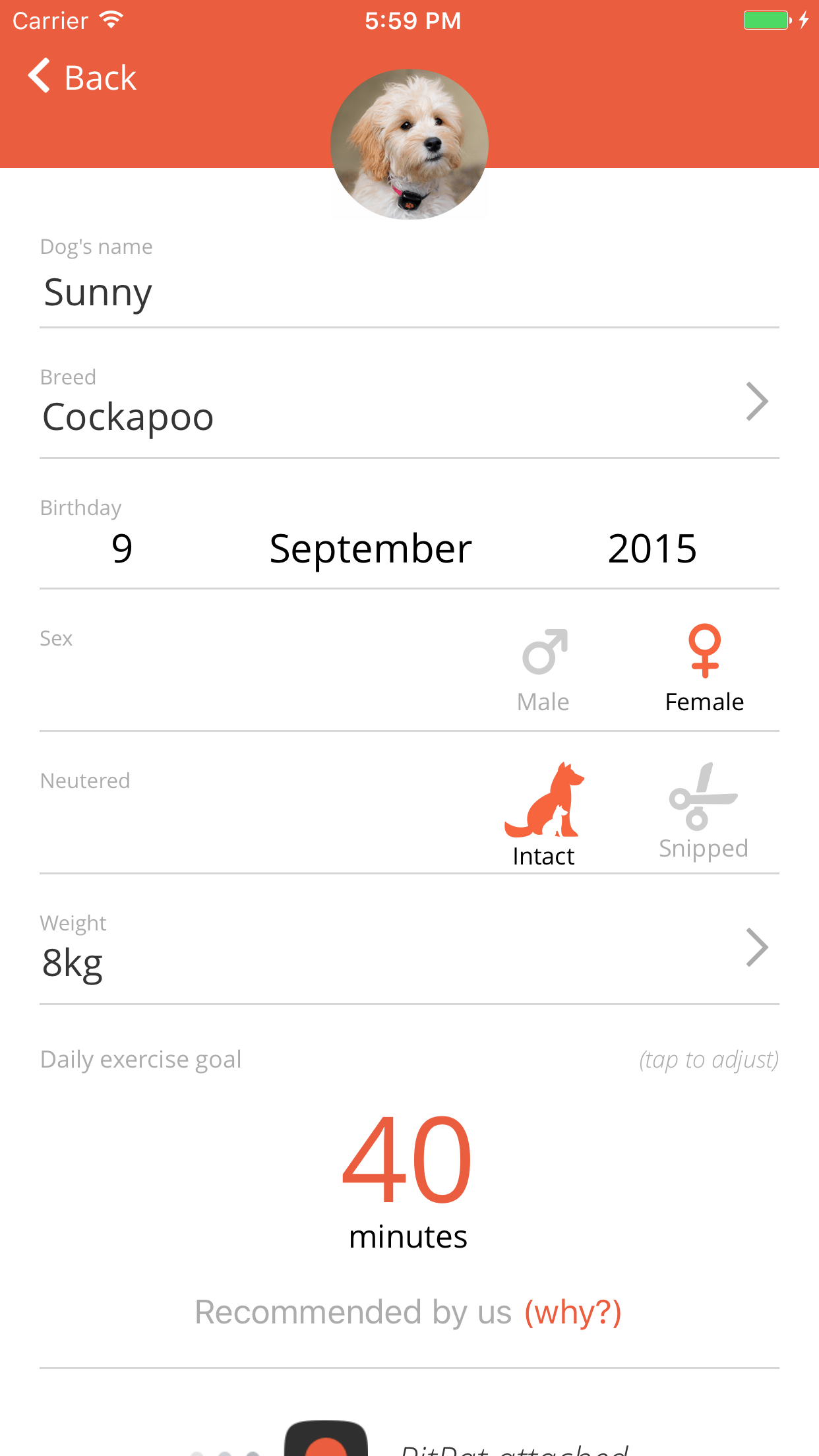 How many calories does my dog need? PitPat