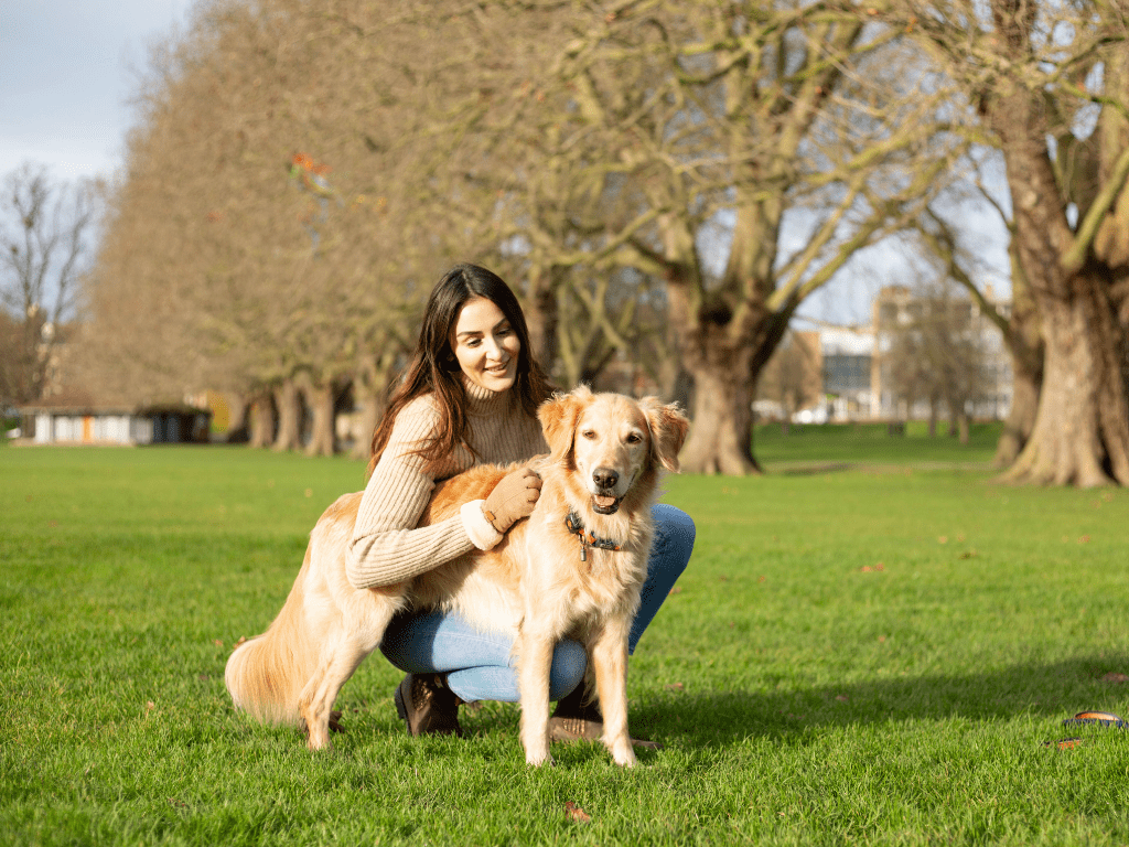 Does my dog love me? PitPat