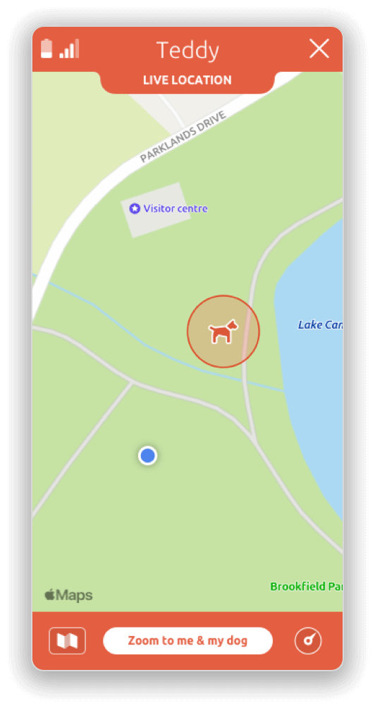 PitPat Dog GPS Tracker With No Subscription PitPat